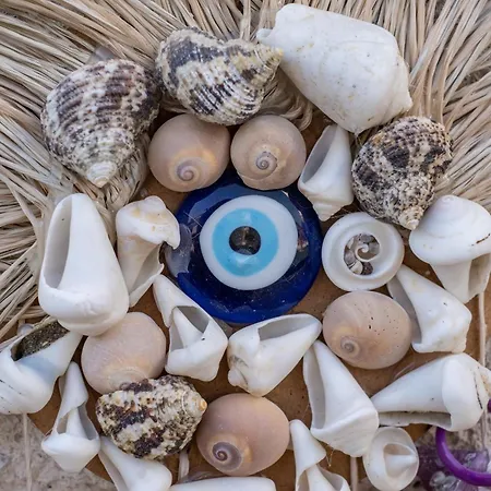 酒店 Armel 阿拉恰特